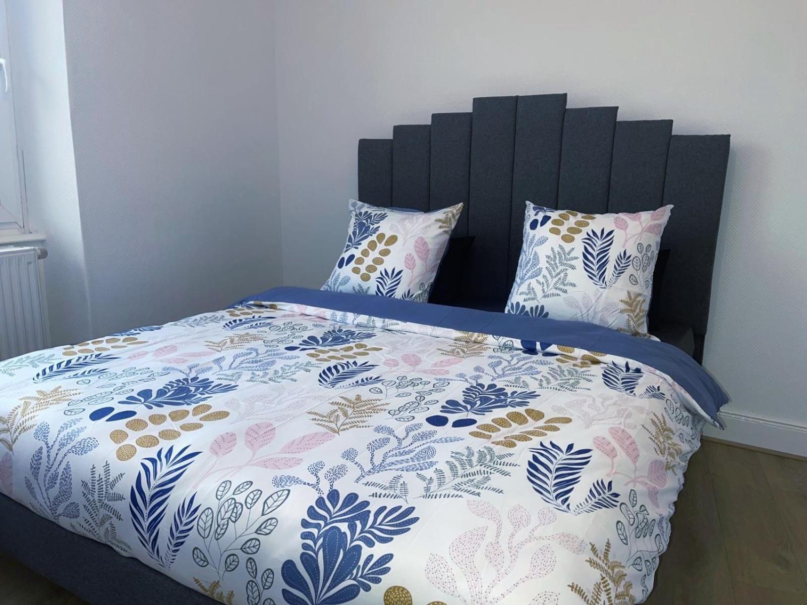 Magnifique Appartement Charmant T3 80M2 Parking Gratuit ロスハイム エクステリア 写真